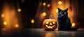 Halloween black cat with pumpkin jack-o-lantern on blur background Royalty Free Stock Photo