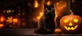 Halloween black cat with pumpkin Jack O Lantern on dark background. Royalty Free Stock Photo