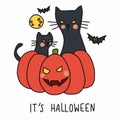 Halloween black cat sit on pumpkin cartoon illustration Royalty Free Stock Photo