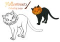 Halloween black cat, wearing pumpkin. Scary cute witches pet. Hand drawn vector illustration. Can be used for coloring book, cards