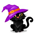Halloween black cat in a witch hat Royalty Free Stock Photo
