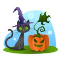 Halloween black cat in witch hat sitting with evil pumpkin Royalty Free Stock Photo