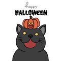 Halloween black fat cat with pumpkin monster on head cartoon Royalty Free Stock Photo