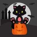 Halloween black kitten sitting on the pumpkin Royalty Free Stock Photo