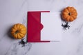 Halloween blank card and envelope with pumpkins and spiders