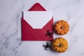 Halloween blank card and envelope with pumpkins and spiders