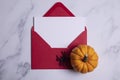 Halloween blank card and envelope with pumpkins and spiders