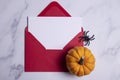 Halloween blank card and envelope with pumpkins and spiders