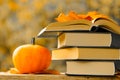 Halloween Books.Back to school.Autumn reading. Books and pumpkins set in autumn garden with the rays of the sun.Start Royalty Free Stock Photo