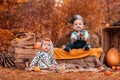 Halloween. A boy in a pirate costume and a girl in a Dalmatian costume, surrounded by pumpkins and agricultural decor. Cute Royalty Free Stock Photo