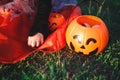Halloween candy baskets lie on the grass Royalty Free Stock Photo