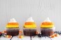 Halloween candy corn cupcakes against white wood Royalty Free Stock Photo