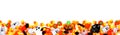 Halloween candy long border isolated on a white background Royalty Free Stock Photo