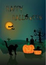 Halloween card angry black cat and two pumpkins on the dark night background Royalty Free Stock Photo