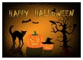 Halloween card angry black cat and two pumpkins on the dark orange background Royalty Free Stock Photo