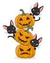 Black cat sitting on top of pumpkins with the moon in the background Royalty Free Stock Photo