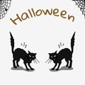 Halloween card with black cats