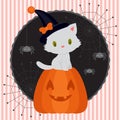 Halloween card with cute white kitten 2 Royalty Free Stock Photo