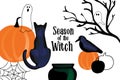 Halloween card design with pumkin, black cat, ghosts illustration and text Season of the Witch on white background