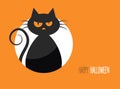 Halloween card with a silhouette of an evil cat in the background the moon Royalty Free Stock Photo