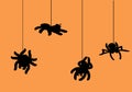 Halloween card. Spider on web. Scary black insect. Horror and tarantula phobia. Predator animal. Dangerous arachnid and Royalty Free Stock Photo