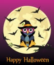 Halloween. Cartoon owl in a witch costume Royalty Free Stock Photo