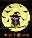 Halloween. Cartoon owl in a witch costume against a background o Royalty Free Stock Photo