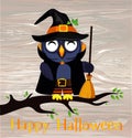 Halloween. Cartoon owl in a witch costume with broom sitting on Royalty Free Stock Photo