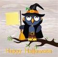 Halloween. Cartoon owl in a witch costume with broom sitting on Royalty Free Stock Photo