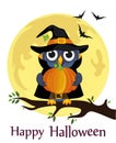 Halloween. Cartoon owl in a witch costume Royalty Free Stock Photo