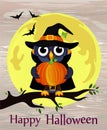 Halloween. Cartoon owl in a witch costume with pumpkin against a Royalty Free Stock Photo