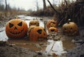 Halloween carved pumpkins in a muddy puddle. Rainy autumn background.