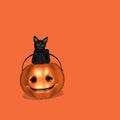 Halloween Cat 1 Royalty Free Stock Photo