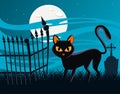 Halloween cat black with fullmoon at night scene