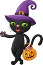 Halloween cat cartoon bring pumpkin