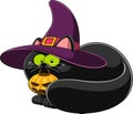 Halloween Witch Black Cat Cartoon Character