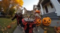 halloween cat trick or treat Royalty Free Stock Photo