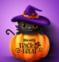 Halloween cat vector concept design. Halloween trick or treat text in pumpkin element with cute black cat character wearing hat. Royalty Free Stock Photo