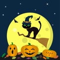 A Halloween cat in a witch hat flies on a broomstick against a full moon at night. Three pumpkin Halloween, candy and leaves, vola