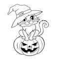 Halloween cat in a witch hat sitting on halloween pumpkin. Black and white illustration for coloring book Royalty Free Stock Photo