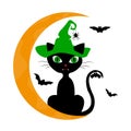 Halloween. The cat in the witch`s hat sits on the moon. The bats. On a white background Royalty Free Stock Photo