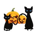 Halloween cats and pumpkin party