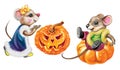 Halloween celebration, funny mouse Royalty Free Stock Photo