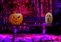 Halloween two scary carved pumpkins on a park bench in a spooky forest landscape