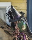 Halloween character scarecrow with a spider on a hat