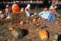 Halloween Characters in Pumpkin Patch, Maggie Valley, Tennessee Royalty Free Stock Photo