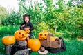 Halloween. Child dressed in black with jack-o-lantern in hand, trick or treat. Smiling little girl pumpkin in the wood, outdoors.