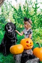 Halloween. Child dressed in black near labrador between jack-o-lantern decoration, trick or treat. Little girl with dog pumpkin i Royalty Free Stock Photo