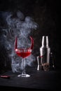 Halloween cocktail Red Devil martini Royalty Free Stock Photo