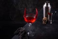 Halloween cocktail Red Devil martini Royalty Free Stock Photo